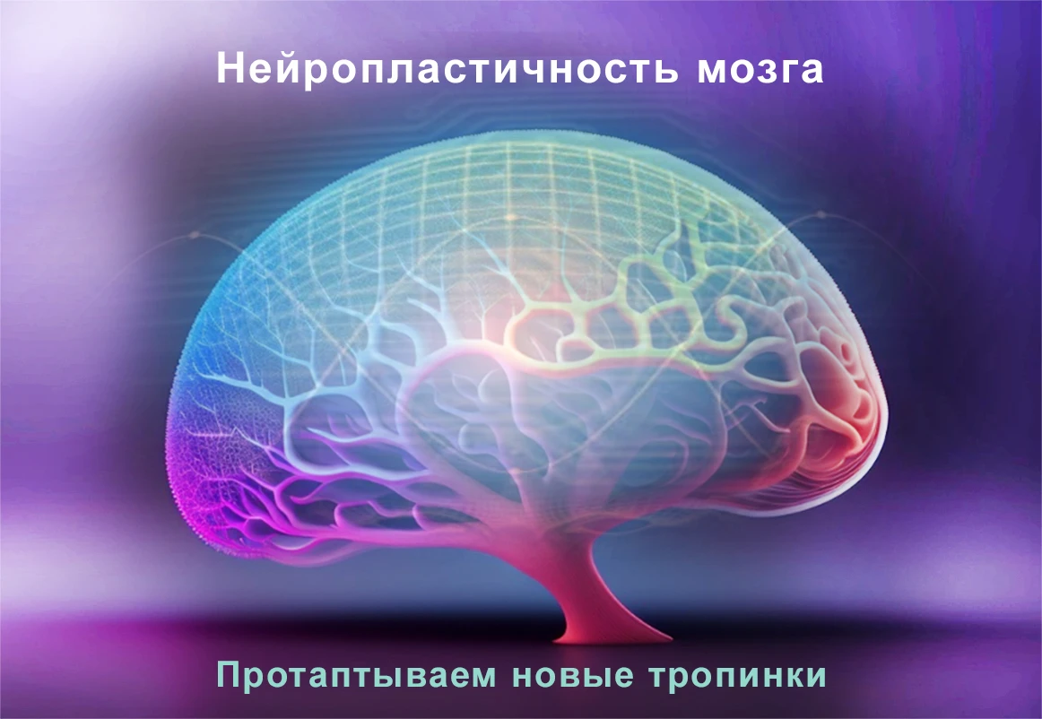 Нейропластичность мозга