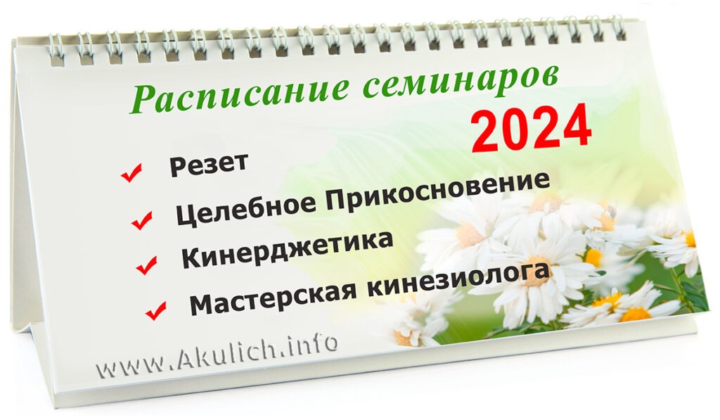 расписание по кинезиологии на 2024 год